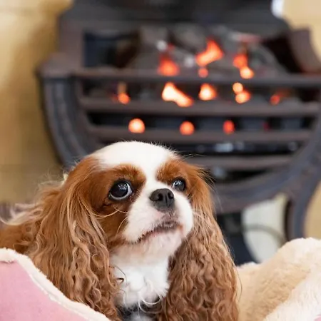 Hotel The Caledonian New Southlands