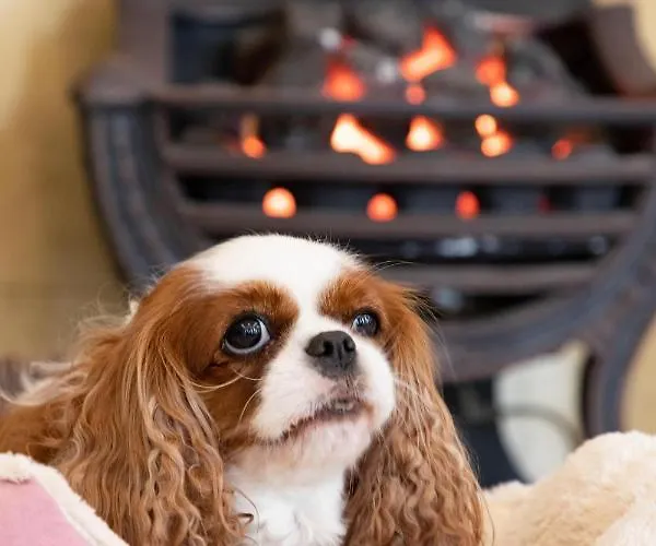 Hotel The Caledonian New Southlands